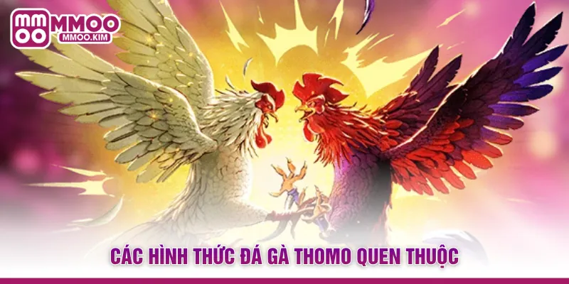 Đá Gà Thomo - Đấu Trường Trực Tiếp Kịch Tính Và Đẳng Cấp 2 Các hình thức đá gà Thomo quen thuộc