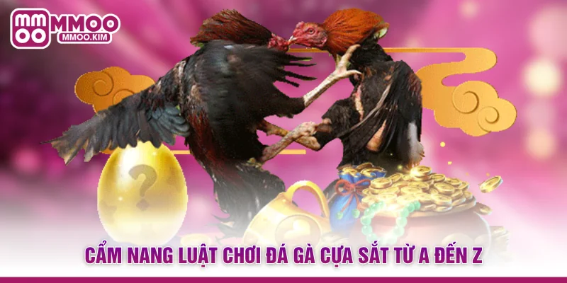 Đá Gà Cựa Sắt - Đấu Trường Trực Tiếp Kịch Tính Và Đẳng Cấp 2 Cẩm nang luật chơi đá gà cựa sắt từ A đến Z